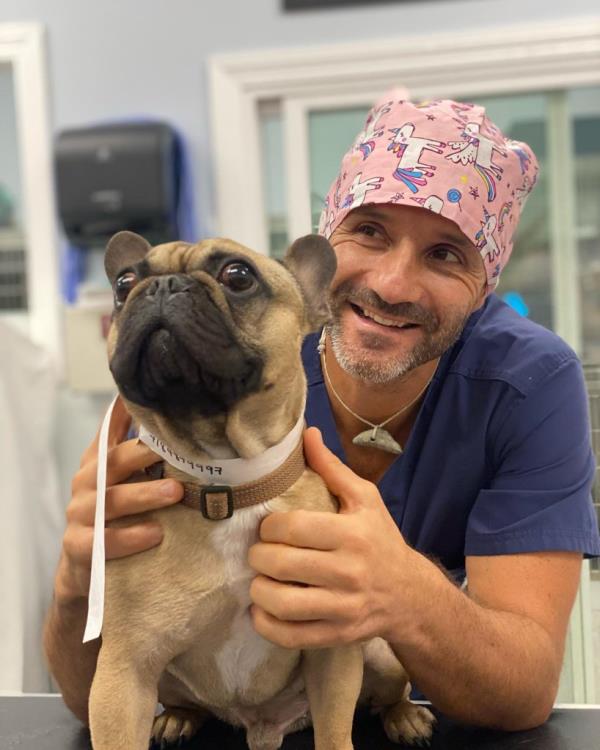 A picture of animal vet Dr. Tomas Infernuso handling a dog.