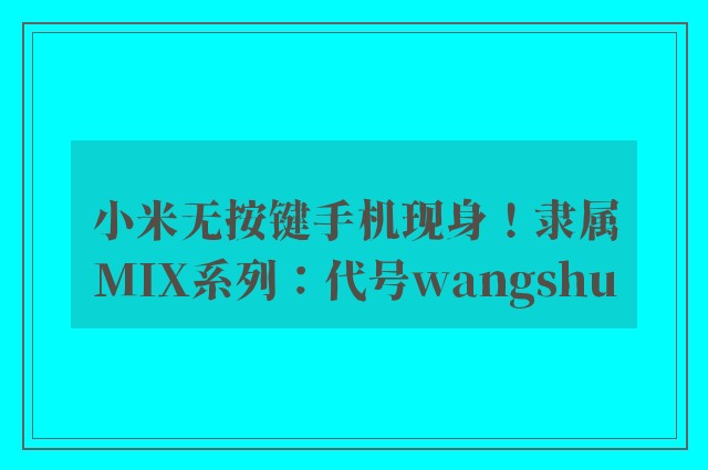 小米无按键手机现身！隶属MIX系列：代号wangshu